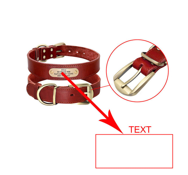 Personalized Dog Collars with Nameplate ID Tags for Medium Large Dogs