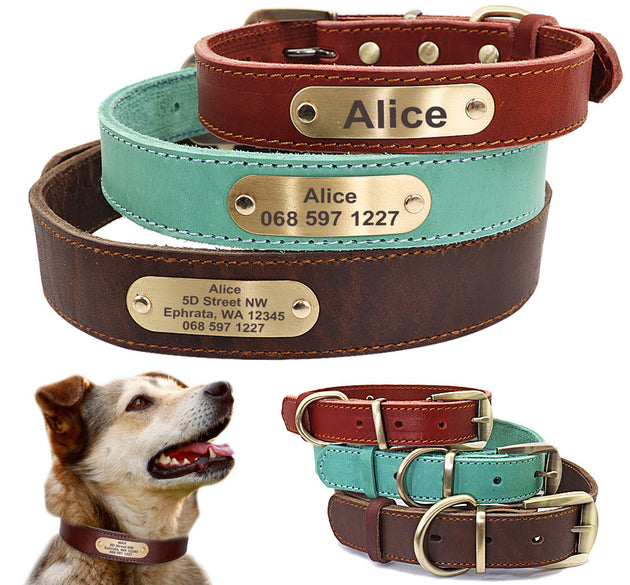 Personalized Dog Collars with Nameplate ID Tags for Medium Large Dogs
