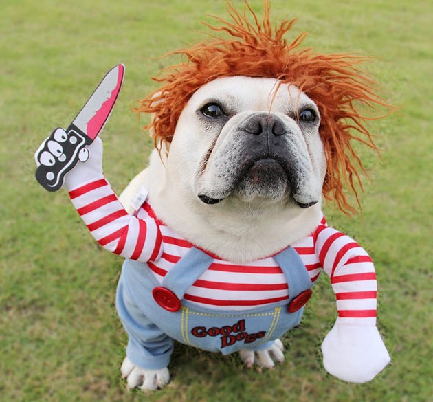 Halloween Pet Costume Pet Dog Funny Clothes Adjustable Dog Cosplay Costume Scary Costume Party Gatherings